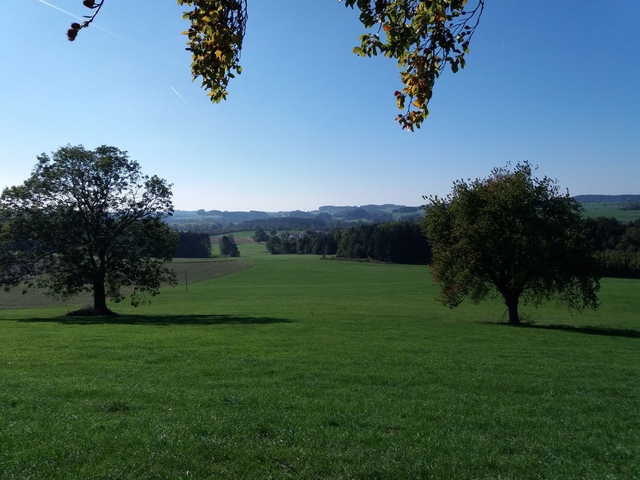 Im Allgäu 2018 (2)